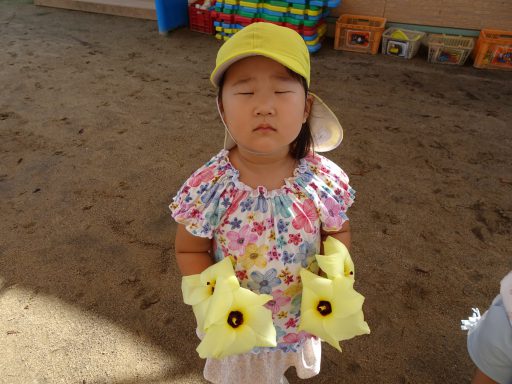 DSC01294