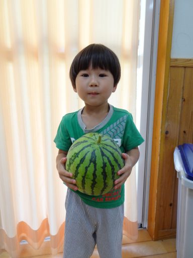 DSC01954