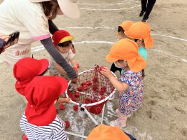 IMG_3798[1]