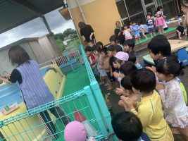 IMG_0530[1]