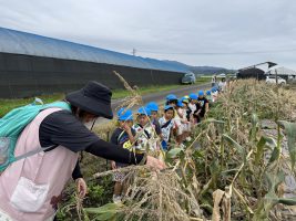 IMG_6568