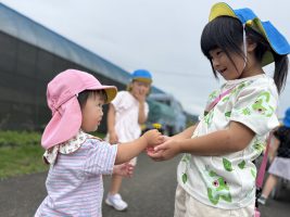 IMG_6653