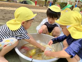 IMG_4969[1]