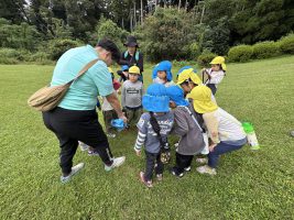 IMG_9082